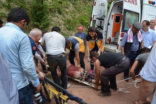 Fındık İşçilerini Taşıyan Minibüs Şarampole Yuvarlandı: 2’si Ağır 17 Yaralı