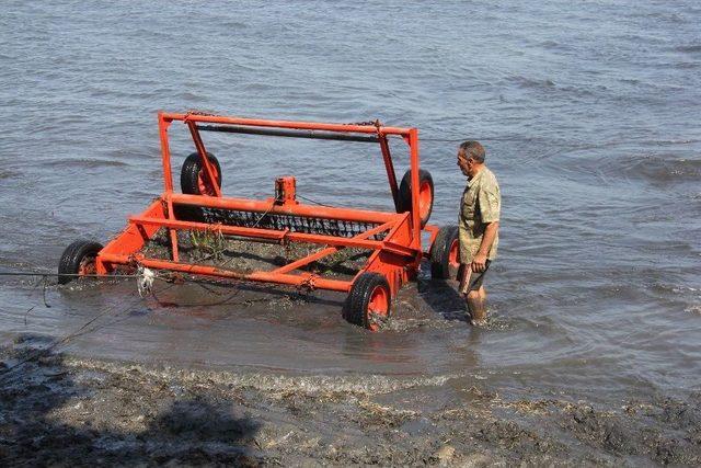 Burhaniye’de Belediye Deniz Temizliğine Aralıksız Devam Ediyor