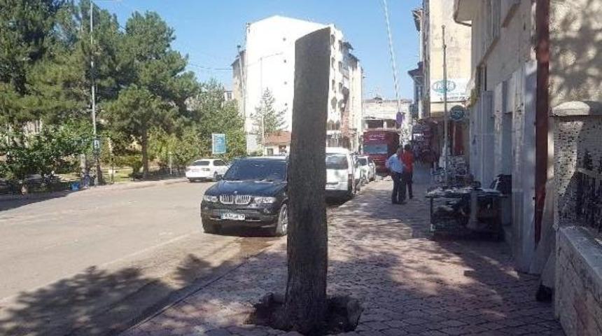 B&ouml;yle Budama G&ouml;r&uuml;lmedi