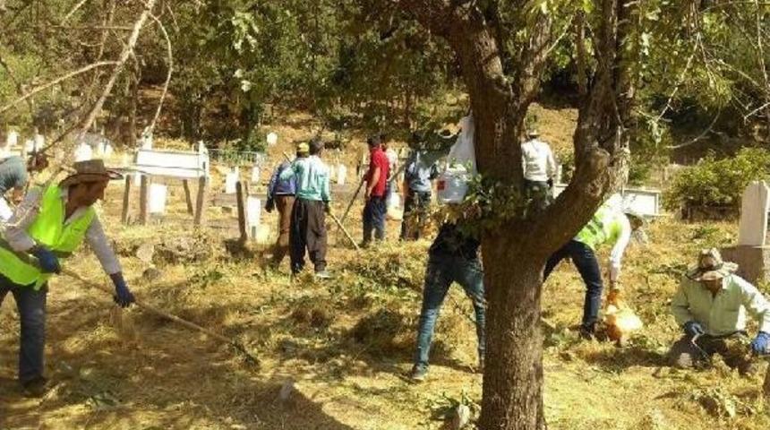 'mezarlıkta Altın' S&ouml;ylentisi Şemdinli'yi Heyecanlandırdı