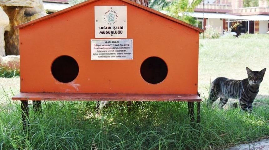 Yeni Kedi Evleri Minik Dostlarımızın Hizmetinde
