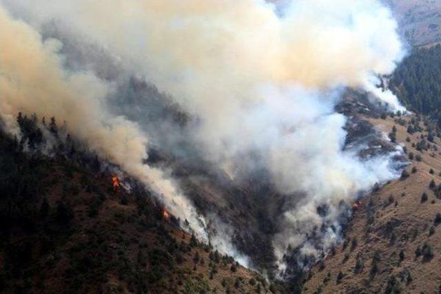 Oltu'daki Orman Yangını 4 Gündür Sürüyor