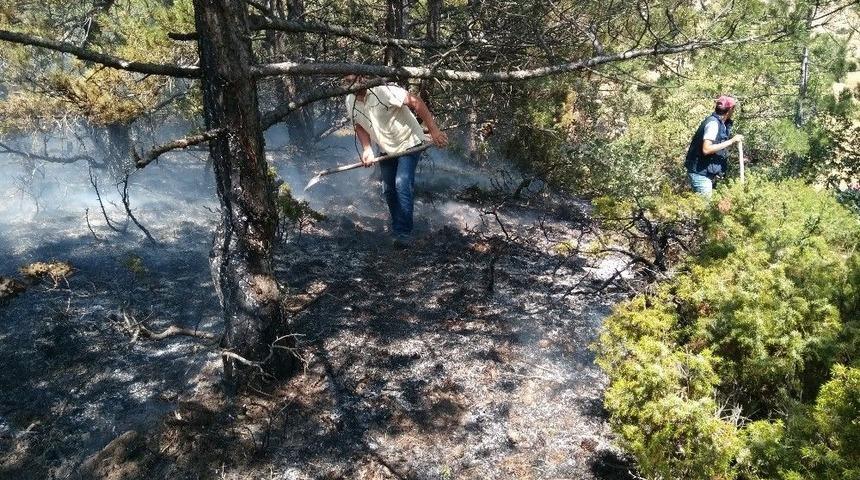İn&ouml;n&uuml;&rsquo;de Orman Yangını