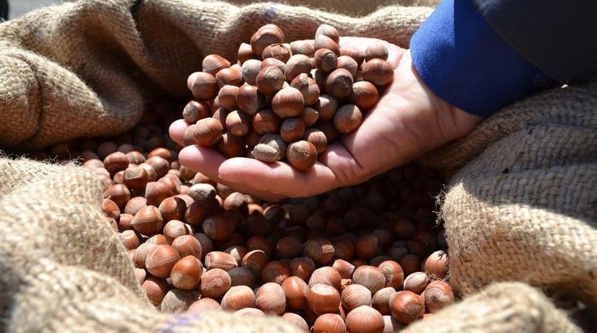 Kabuklu Kuruyemiş Kilo D&uuml;ş&uuml;r&uuml;yor