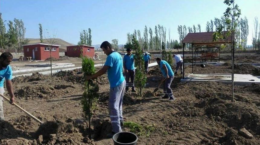 Sungurlu&rsquo;da Mesire Alanları Ağa&ccedil;landırılıyor