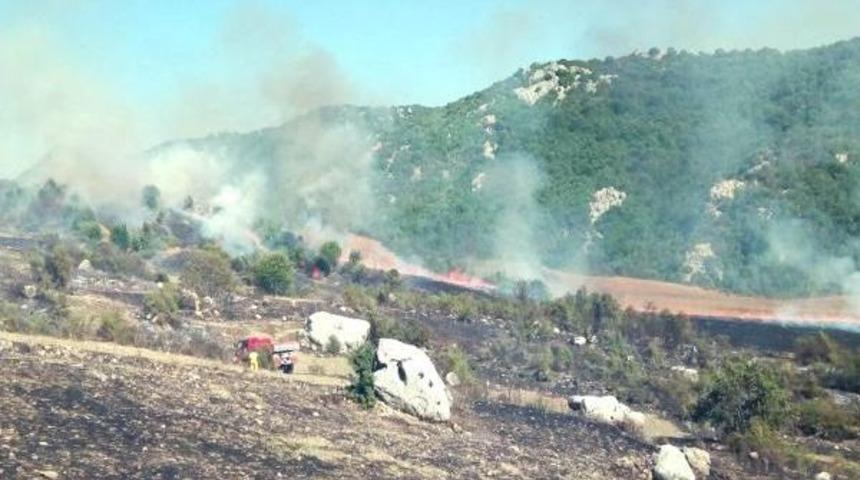 Anız Yangını 4 Hektar Ormanı Yaktı