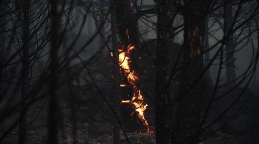 İzmir'de Makilik Alanda Yangın