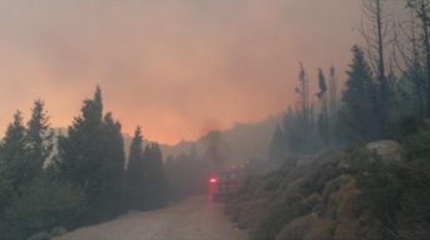 İzmir&rsquo;deki Makilik Yangını Kontrol Altına Alındı