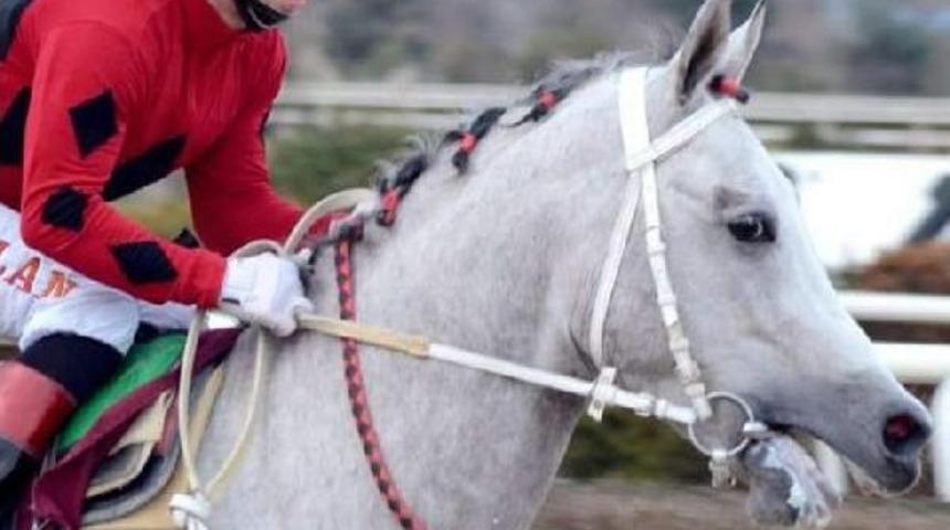 Bursa'da Denize Giren Jokey Dalgalar Arasında Kayboldu