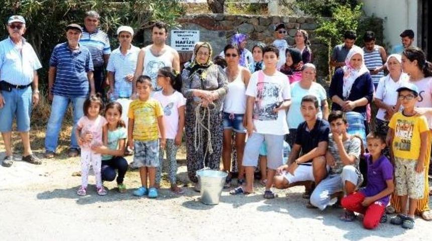 Yaz Ortasında Susuzluk Tepkisi