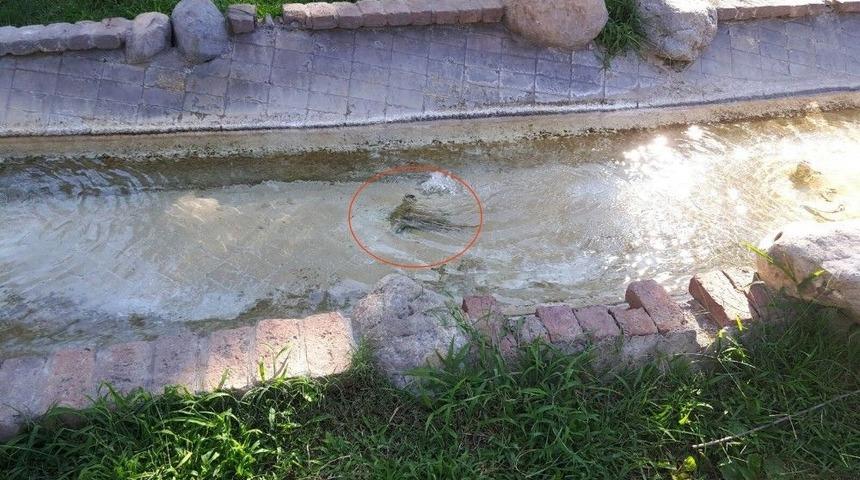 Antalya&rsquo;da Kan Donduran Olay