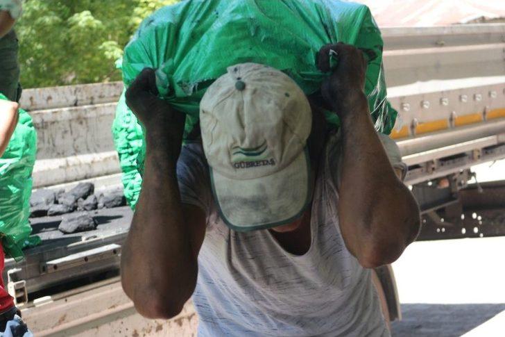 Ağrı’da İş Bulamayan Üniversite Mezunu Kavurucu Sıcaklarda Hamallık Yapıyor G4