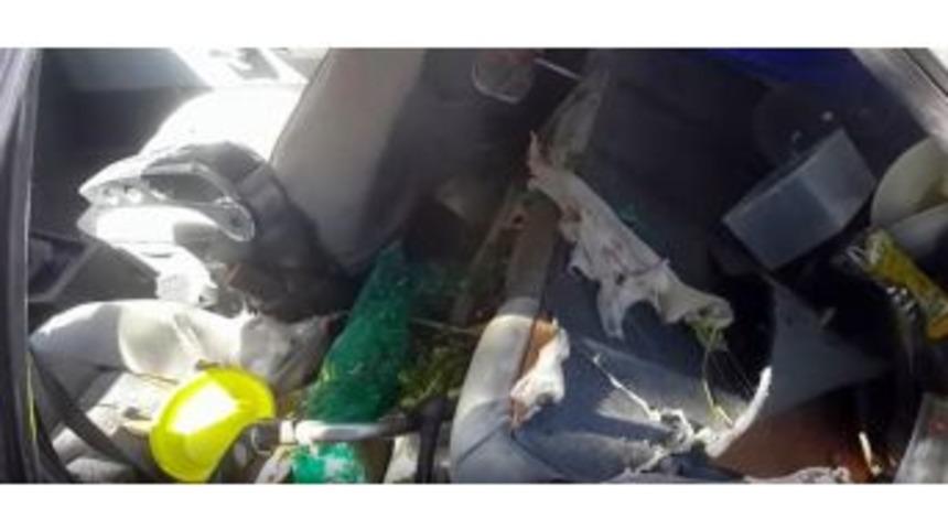 Park Halindeki Araca Ayı Saldırdı