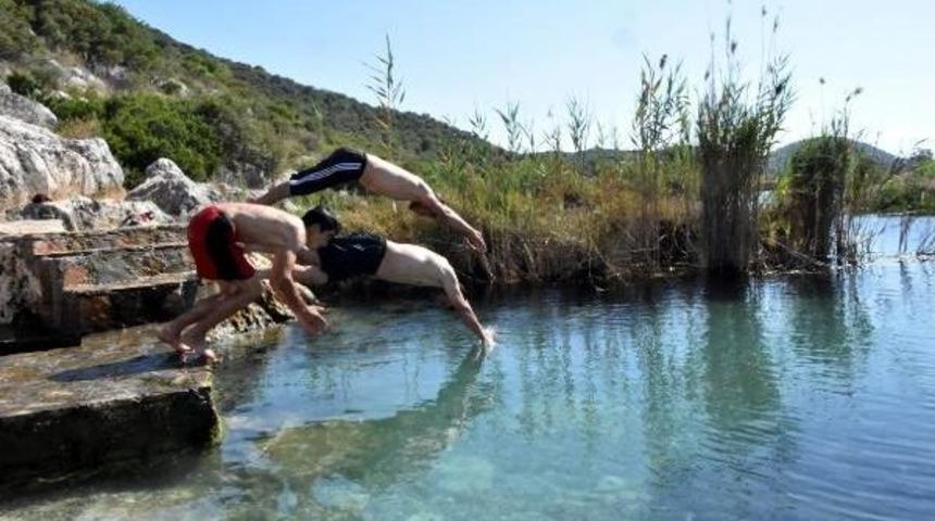 K&uuml;k&uuml;rtl&uuml; Ve Sodalı Suya Girip Hem Şifa Arıyor Hem De Serinliyorlar