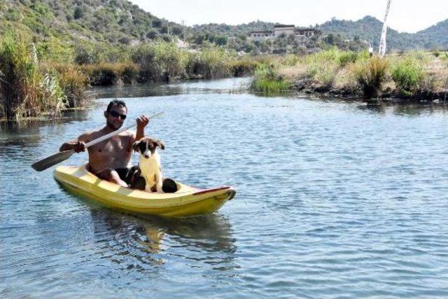 Kükürtlü Ve Sodalı Suya Girip Hem Şifa Arıyor Hem De Serinliyorlar