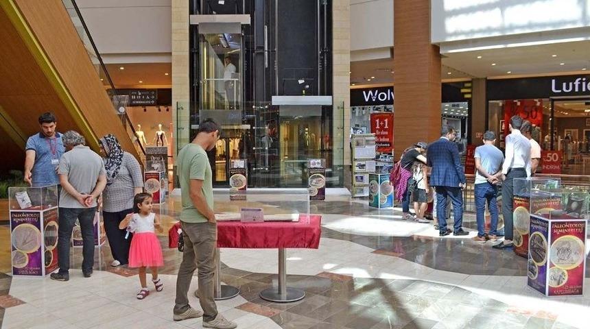 Fosillerin Gizemi Şanlıurfa Piazza&rsquo;da A&ccedil;ığa &Ccedil;ıkıyor