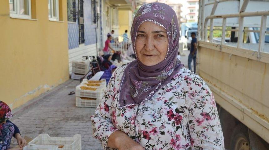 Kayısıda Patik D&ouml;nemi Başladı