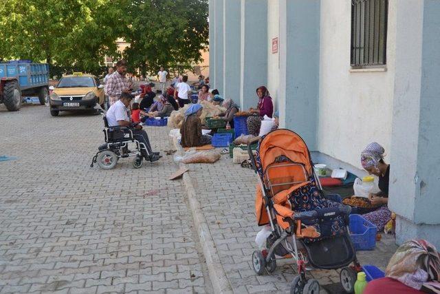 Kayısıda Patik Dönemi Başladı