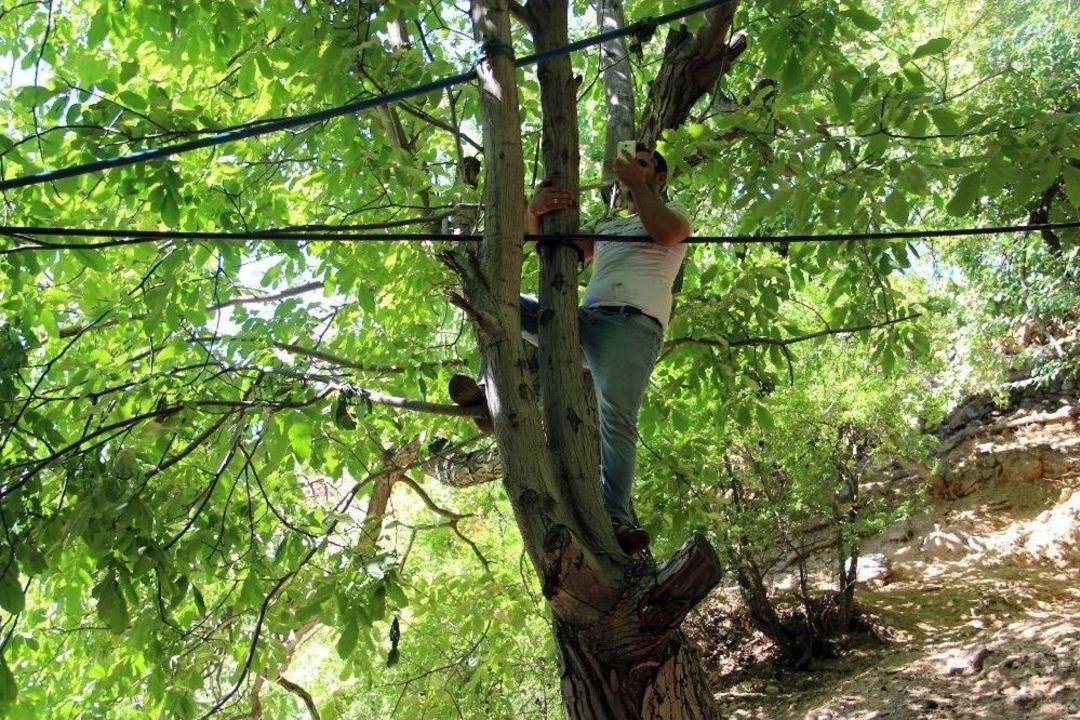 Telefonla Konuşmak İ&ccedil;in Ağa&ccedil;lara &Ccedil;ıkıyorlar