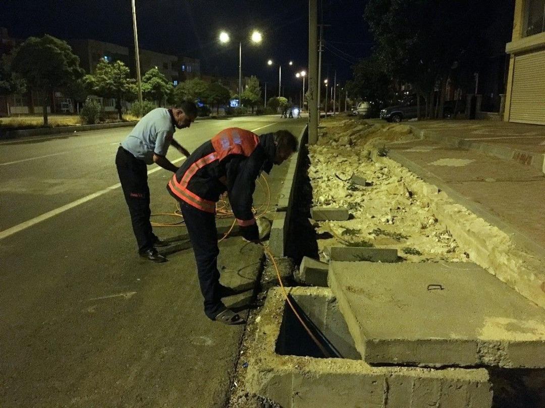S&uuml;r&uuml;c&uuml;n&uuml;n &Ccedil;arpıp Ka&ccedil;tığı Kediyi İtfaiye Kurtardı