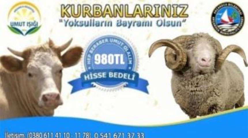 Ak&ccedil;akoca Belediyesinden Kurban Kesimi