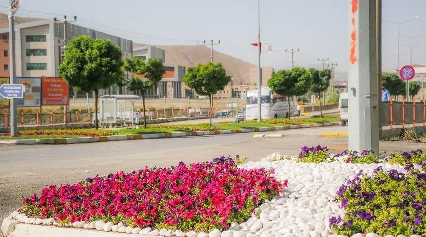 Bitlis Belediyesinden &Ccedil;i&ccedil;ek Ekimi