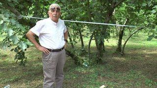 Şahin: fındıkta Tek Dal, Maliyeti Düşürürken, Verim Ve Kaliteyi Artırıyor