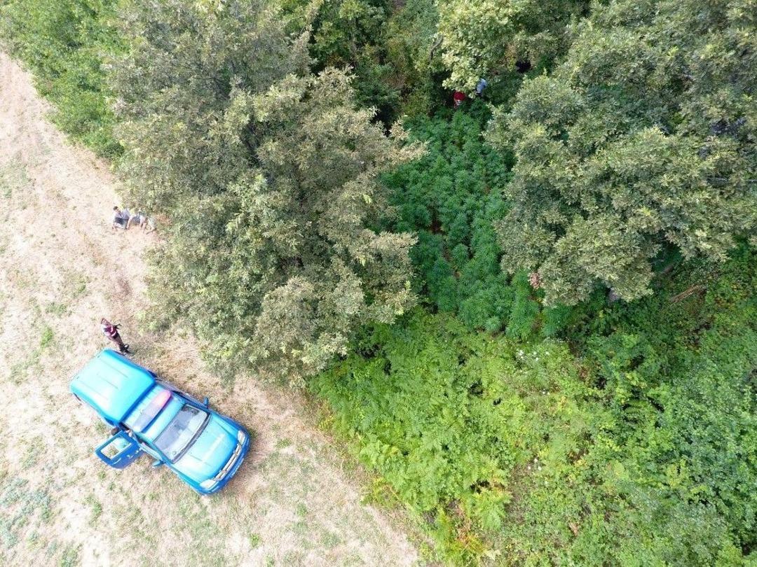 Jandarmadan &rsquo;drone&rsquo;lu Kenevir Operasyonu