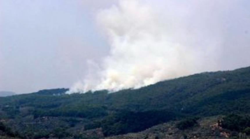 Kazdağları’nda Orman Yangını