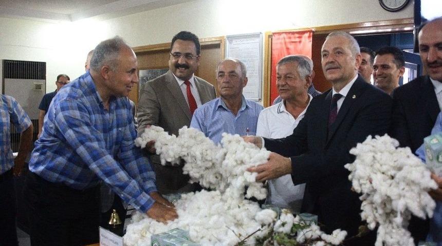 80 Kilogram Pamuk 40 Bin Liraya Satıldı