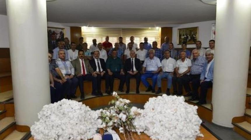 İlk Ürün Pamuk 500 Liraya Satıldı