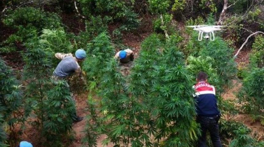 İneg&ouml;l&rsquo;De Jandarmadan Drone&rsquo;Lu Uyuşturucu Operasyonu