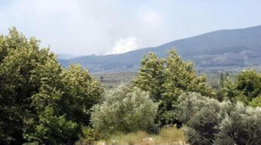 Kazdağları'nda 4 Ayrı Noktada Orman Yangını