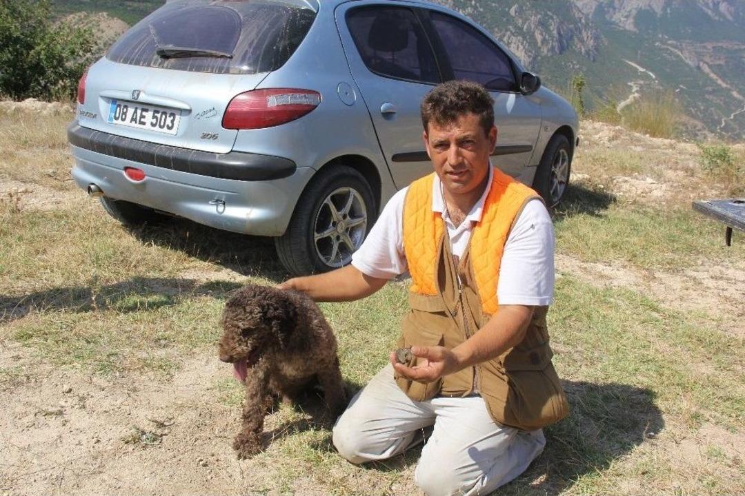 &Ouml;zel K&ouml;pek Arthur&rsquo;un 200 Euro&rsquo;luk Mantar Avı