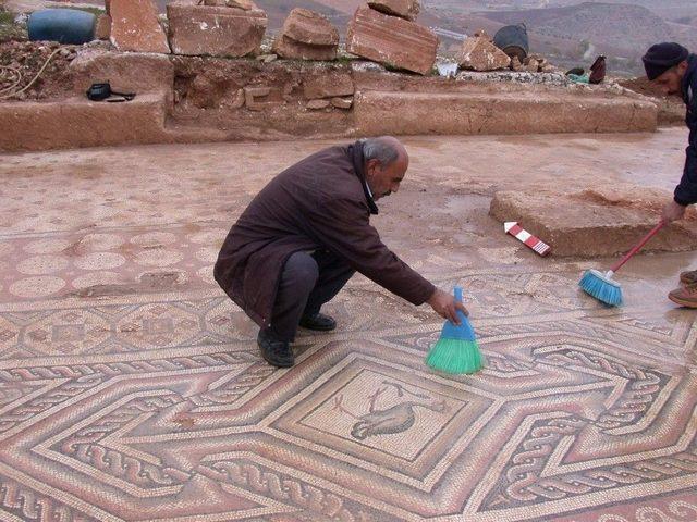 Koruma Evi Yapılan Mozaik Sergilenmeyi Bekliyor