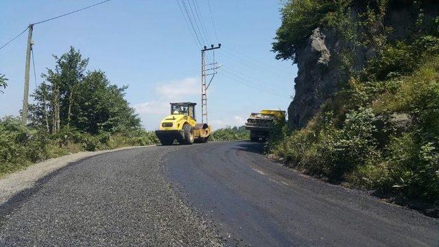 Asfalt İçin Kurban Kestiler