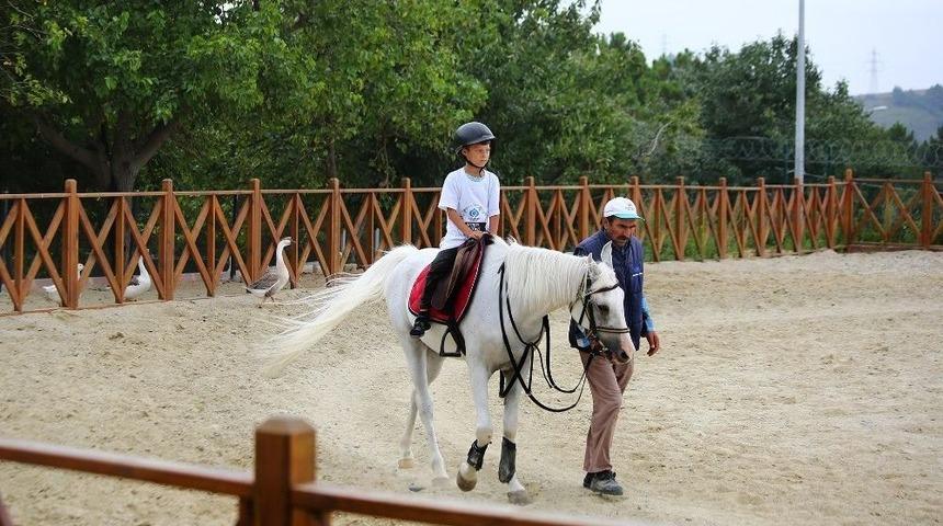 Küçük Kaşifler Sultangazi Şehir Ormanları’nda