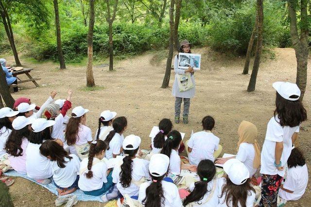 Küçük Kaşifler Sultangazi Şehir Ormanları’nda