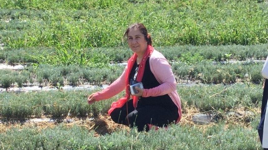 Ceritoğlu, Aromatik Tıbbi Bitkiler İ&ccedil;in Fransa&rsquo;ya Gitti