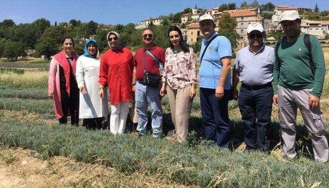 Ceritoğlu, Aromatik Tıbbi Bitkiler İçin Fransa’ya Gitti