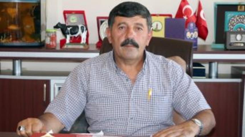 Kurban Sayısında D&uuml;ş&uuml;ş Yaşandı Fiyatlar Y&uuml;kselecek