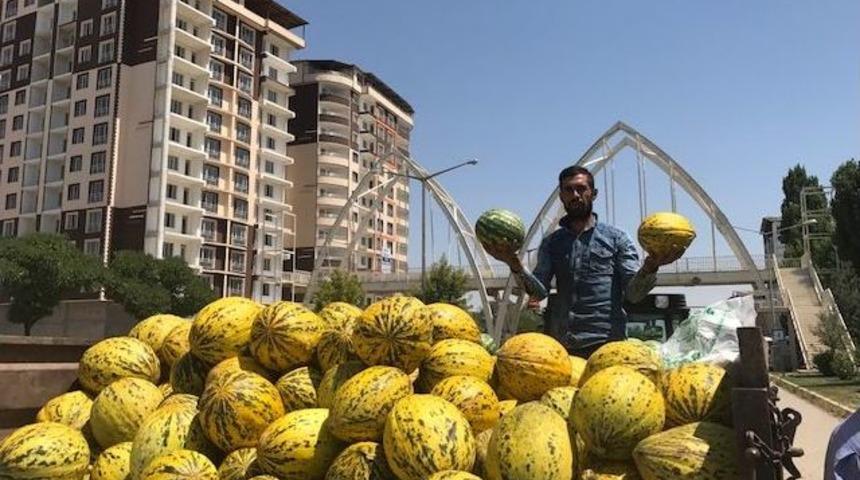 Muş&rsquo;un Karpuz Ve Kavunu Tezgahlardaki Yerini Aldı