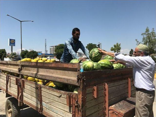 Muş’un Karpuz Ve Kavunu Tezgahlardaki Yerini Aldı