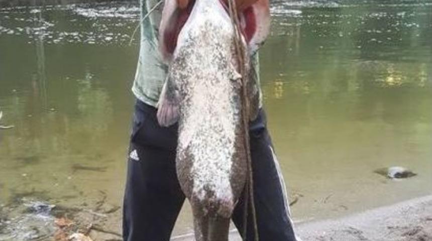 Dev Yayın Balığını Elleriyle Yakalandı