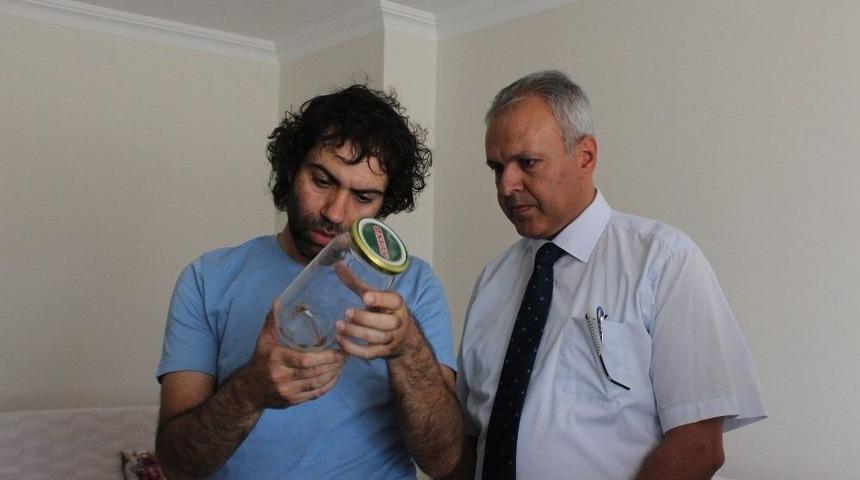 Sarıkız &Ouml;r&uuml;mceği İle İlgili Halk Sağlığı M&uuml;d&uuml;rl&uuml;ğ&uuml; Harekete Ge&ccedil;ti