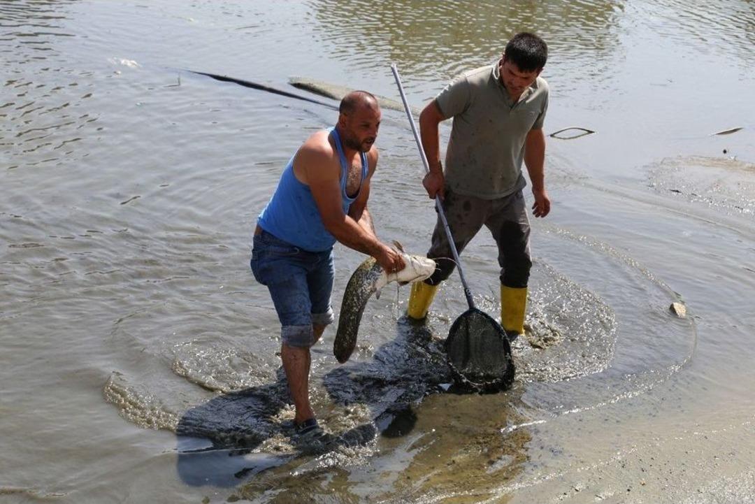 Edirne&rsquo;de Yenilenen G&ouml;lette Balık S&uuml;rprizi