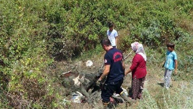 Bataklığa Saplanan Inek Için Seferber Oldular