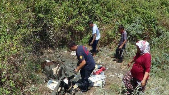 Bataklığa Saplanan Inek Için Seferber Oldular