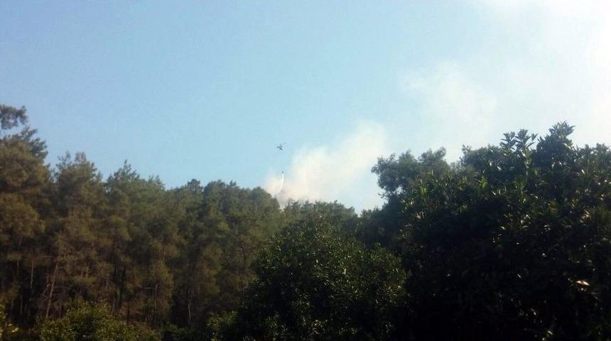 Antalya’da Orman Yangını