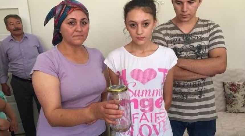 Niğde'de Sarıkız &Ouml;r&uuml;mceği Paniği